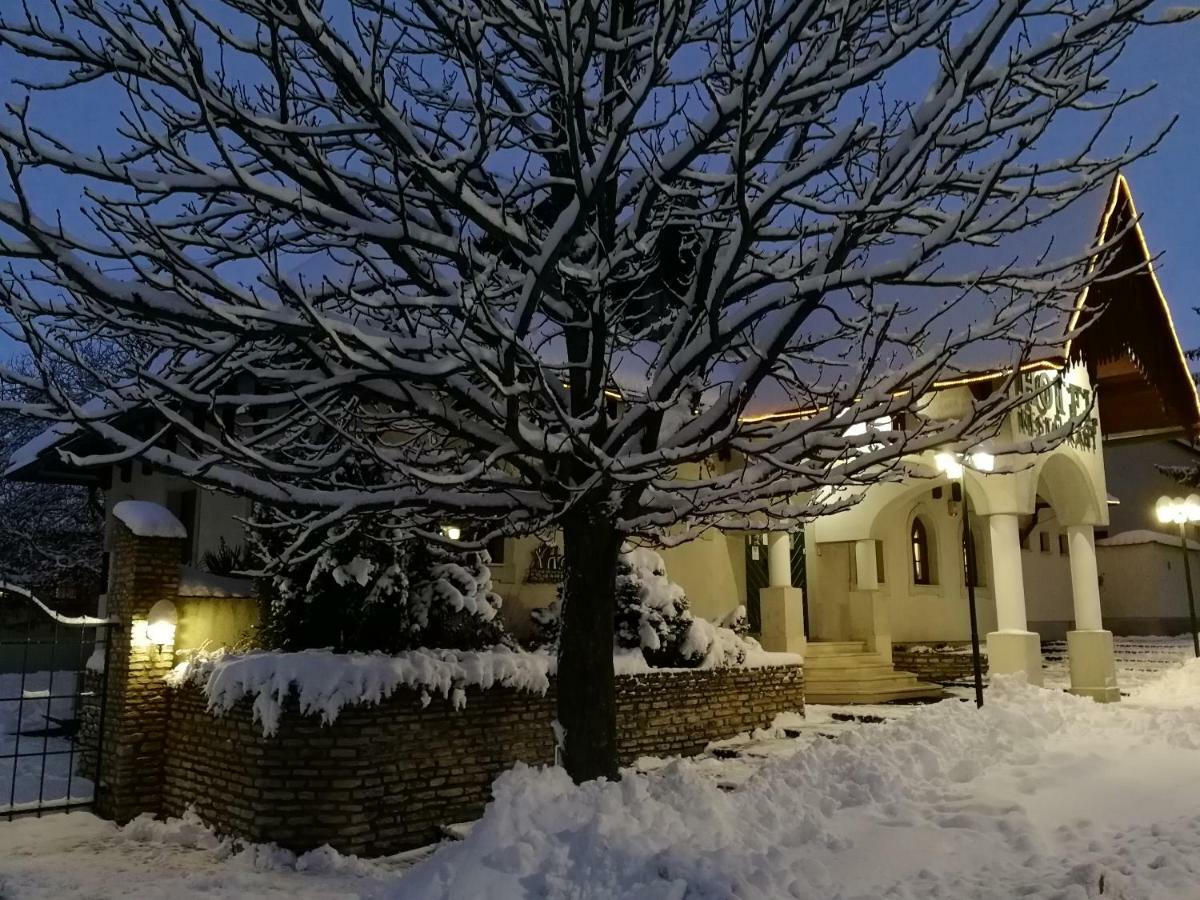 Hasik Hotel Magyarpolány Kültér fotó